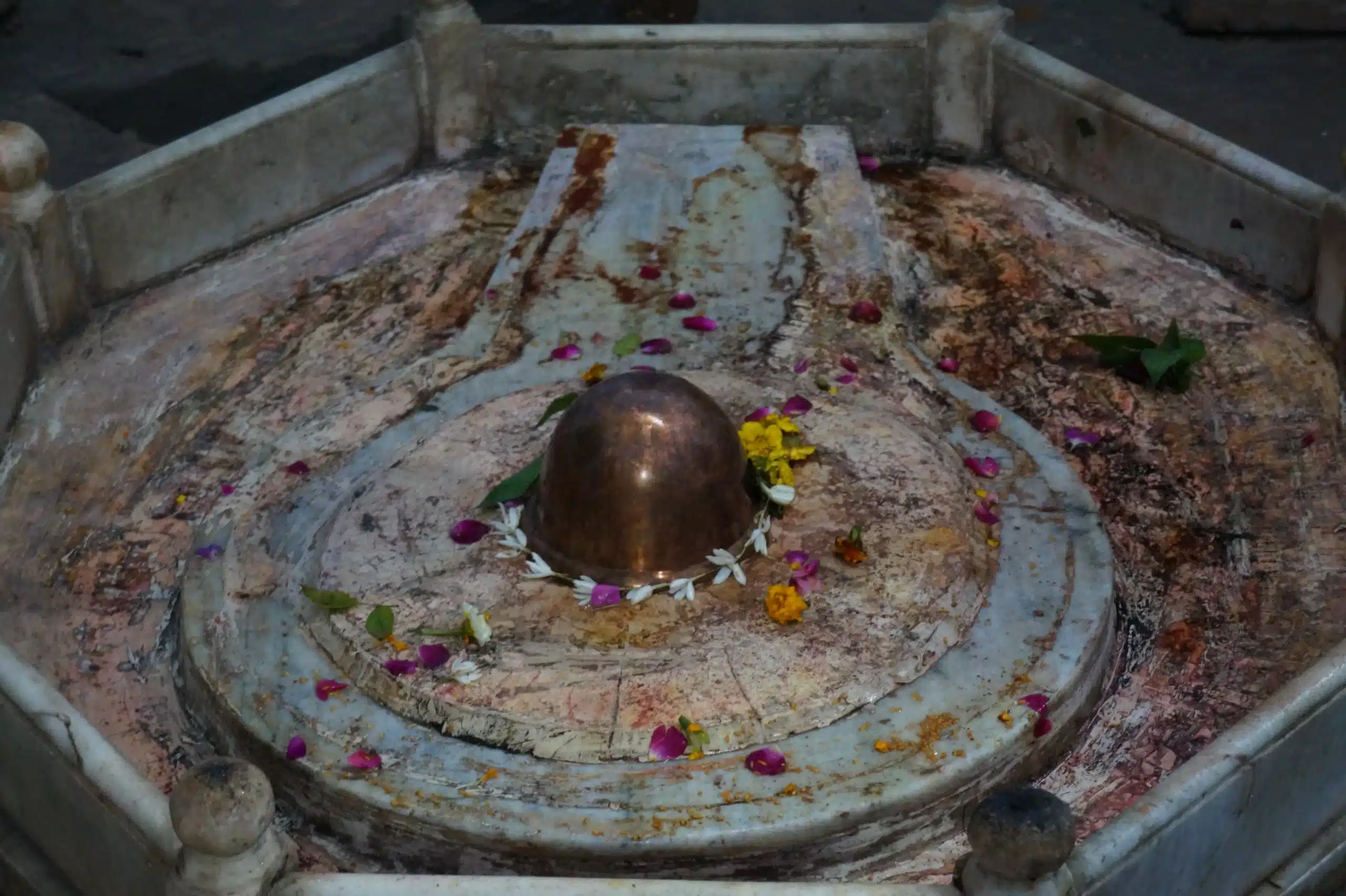 A Śiva Liṅga on its pīṭha at the center of an altar, bathed and strewn with flower petals for the daily worship