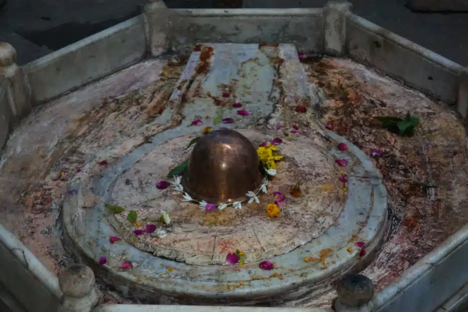 A Śiva Liṅga on its pīṭha at the center of an altar, bathed and strewn with flower petals for the daily worship