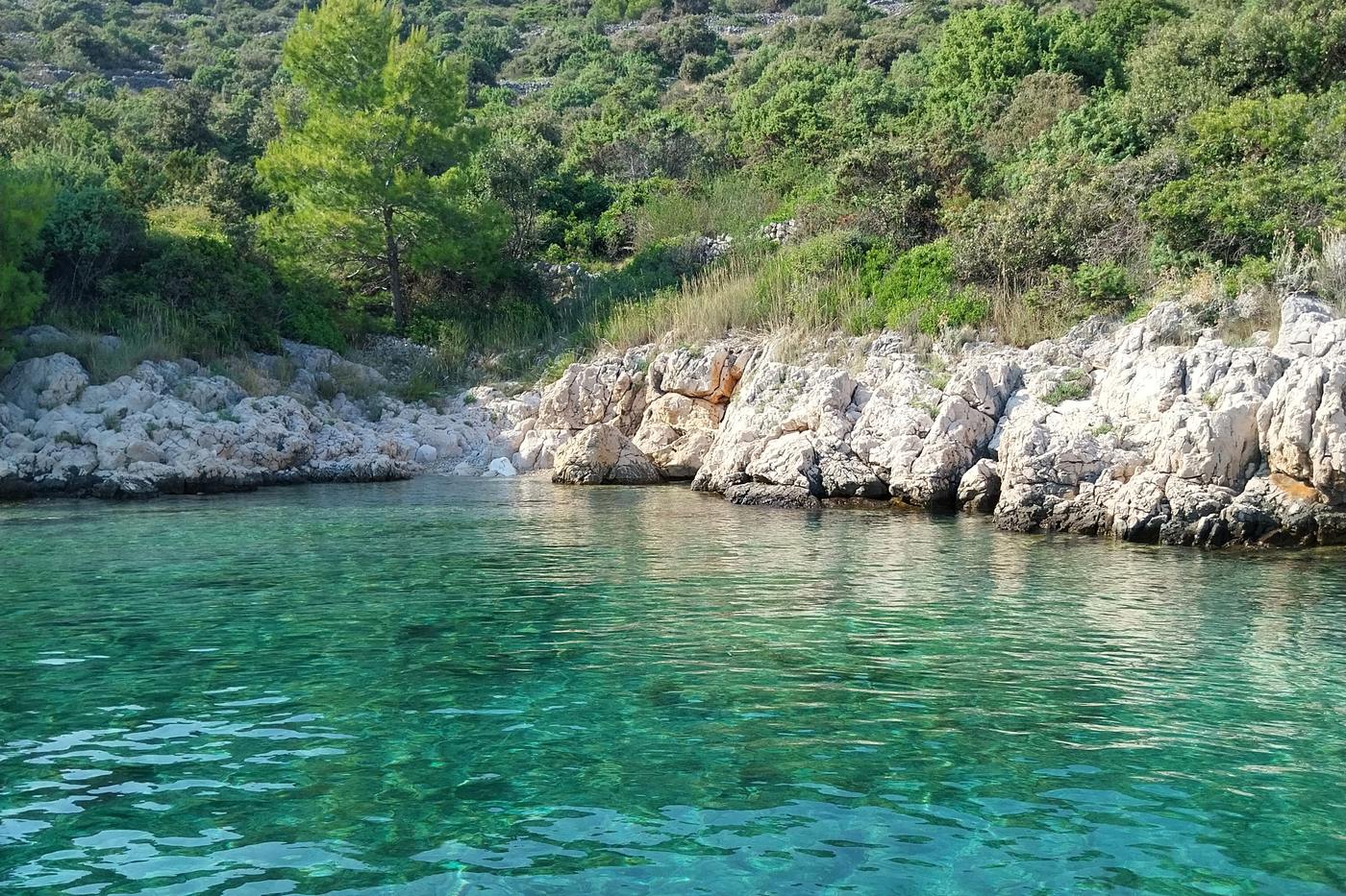 Clear turquoise water and white limestone rocks in a quiet Dalmatian cove on the Croatian coast